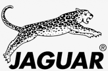 Jaguar Logo