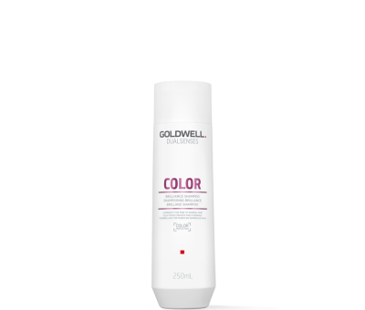 Goldwell Dualsenses Color Brilliance Shampoo (10010360) Goldwell Dualsenses Color Brilliance Shampoo